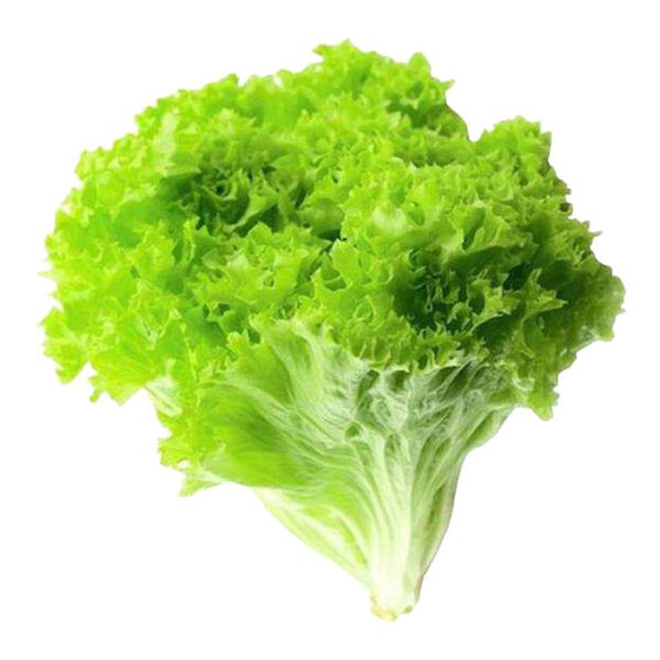 KIVIRCIK