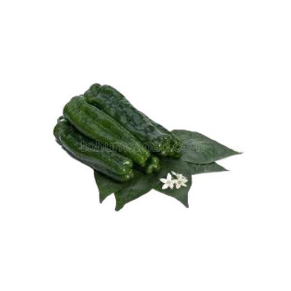 KOY BİBER KG