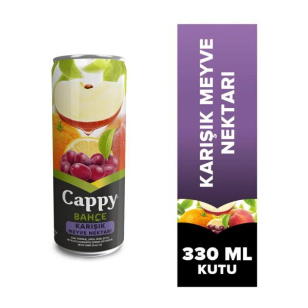 Meyve Suyu Karışık 330 Ml